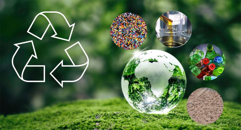 Ecology of Waste: Trash and Recycling