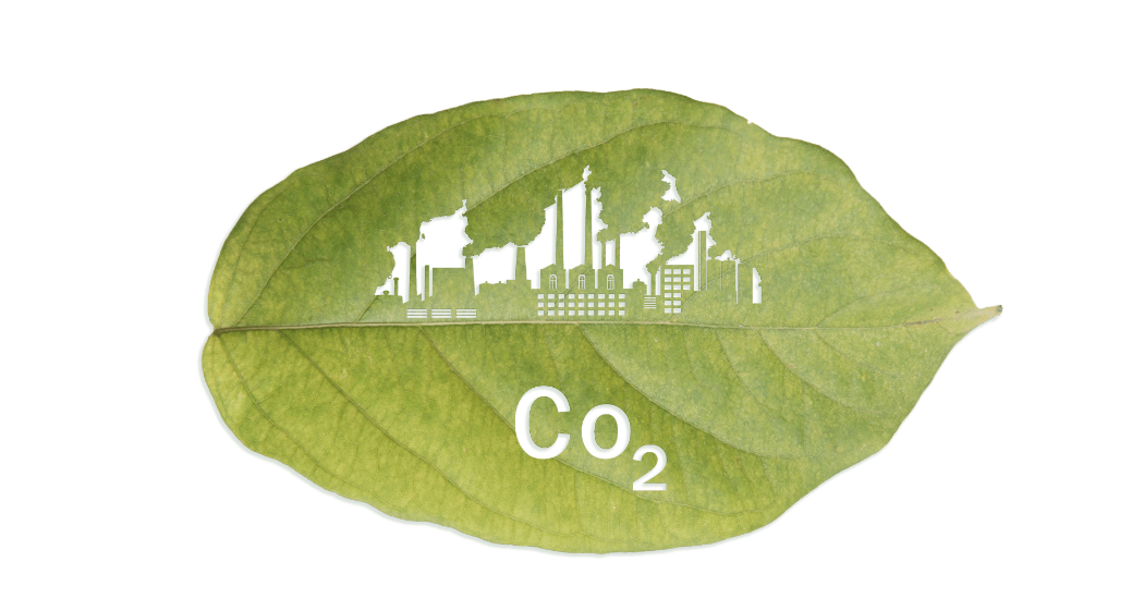 Carbon Footprint